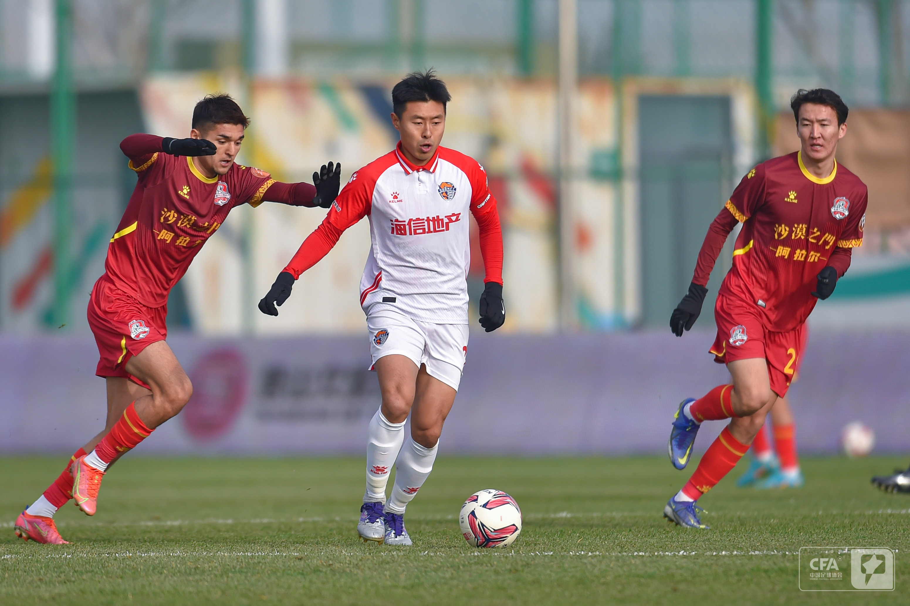 这种多元化 这种多元化