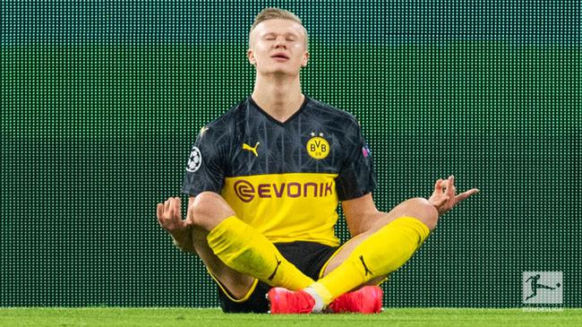 在自然参与 在自然参与